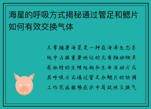 海星的呼吸方式揭秘通过管足和鳃片如何有效交换气体